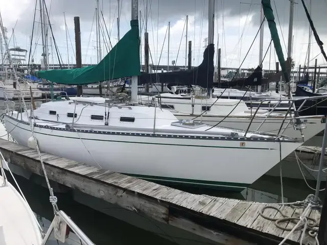 Tartan 28