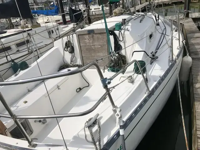 Tartan 28