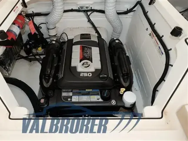 Bayliner VR6 Bowrider