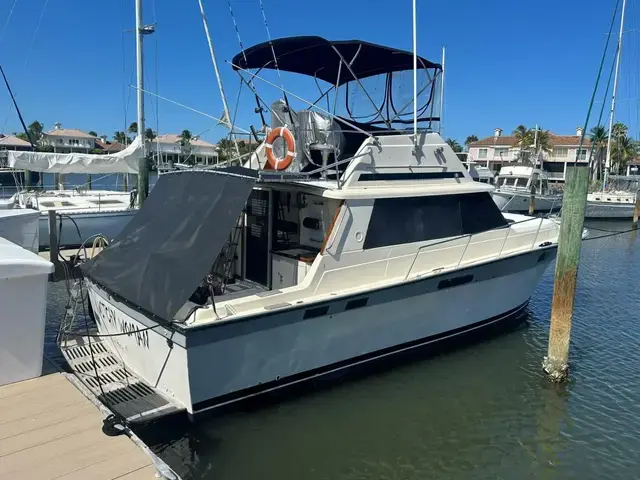 Silverton 37 Convertible