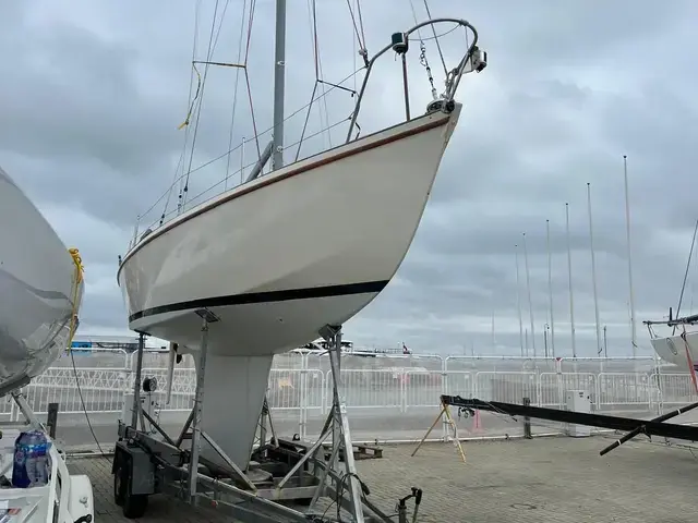 Classic Yachting World Seahorse