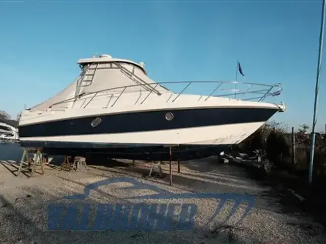 Cranchi Pelican 32