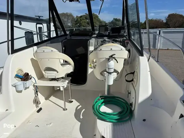 Bayliner 2052 Trophy