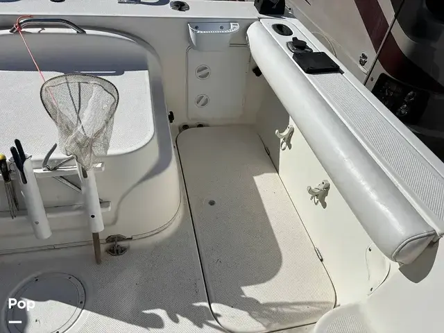 Bayliner 2052 Trophy