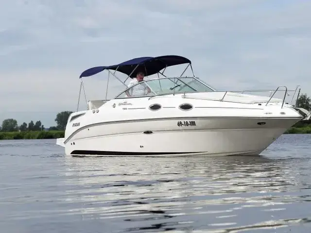 Sea Ray 255 Sundancer