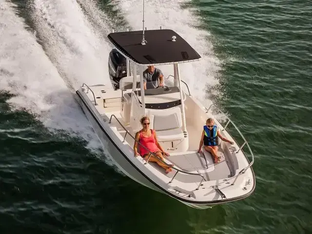 Boston Whaler 250 Dauntless