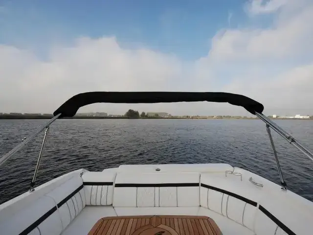 Sea Ray 250 Sunsport