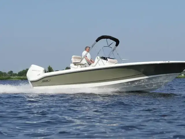 Boston Whaler 250 Dauntless