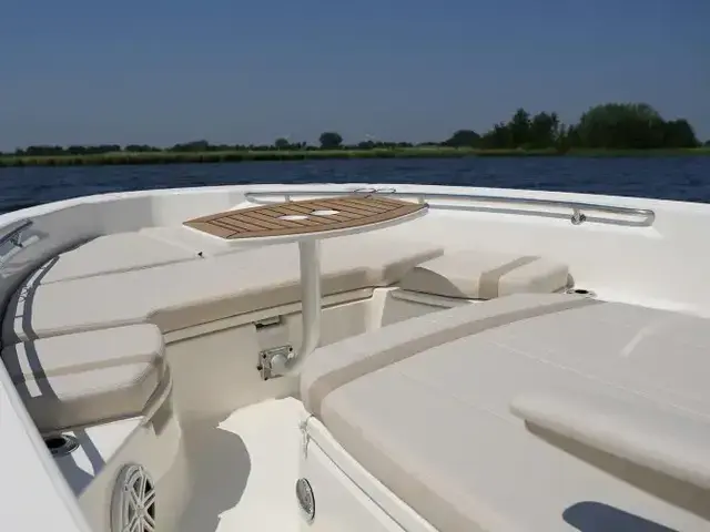 Boston Whaler 250 Dauntless