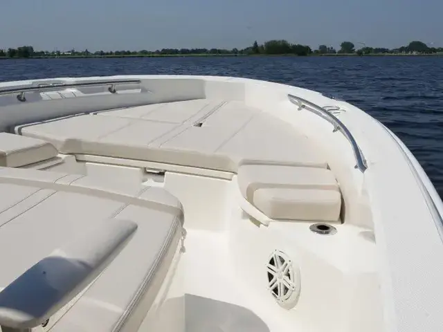 Boston Whaler 250 Dauntless