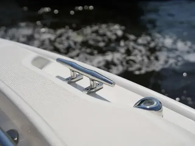 Boston Whaler 250 Dauntless