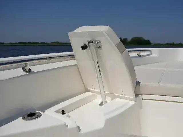 Boston Whaler 250 Dauntless