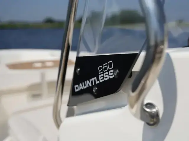 Boston Whaler 250 Dauntless