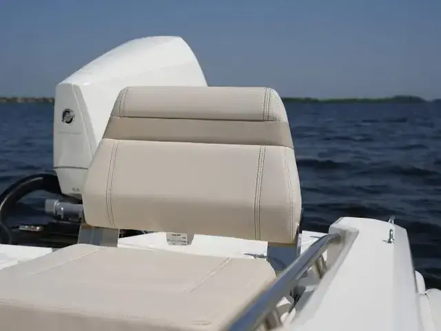 Boston Whaler 250 Dauntless