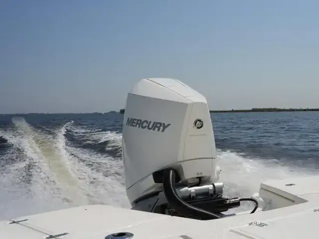 Boston Whaler 250 Dauntless