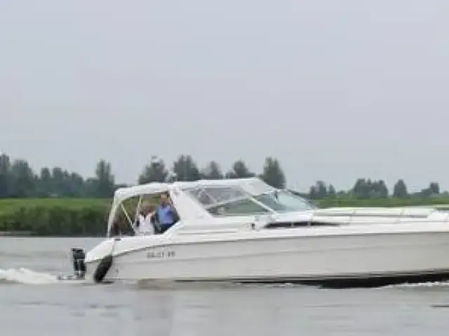 Sea Ray 400 Express Cruiser