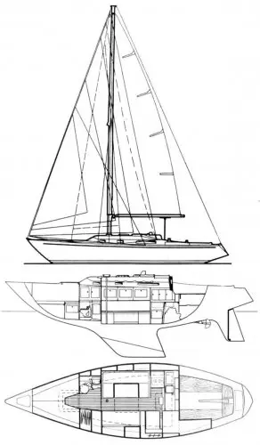 1974 Wauquiez centurion 32