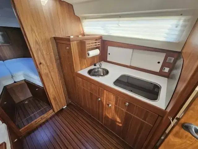 Intercruiser 31