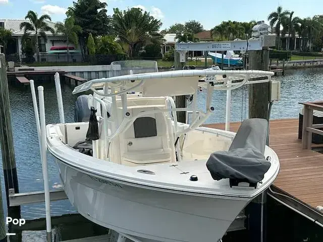 Cobia 240 Cc