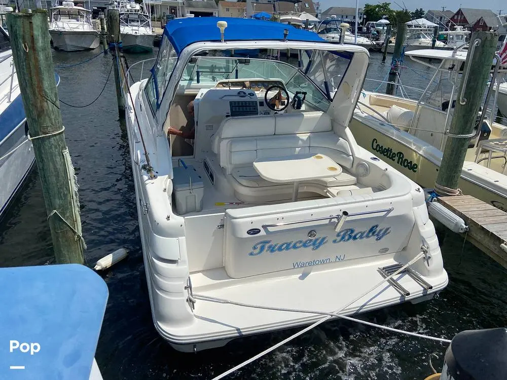 1995 Sea Ray sundancer 290