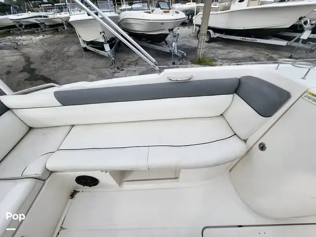 Bayliner 210 Db