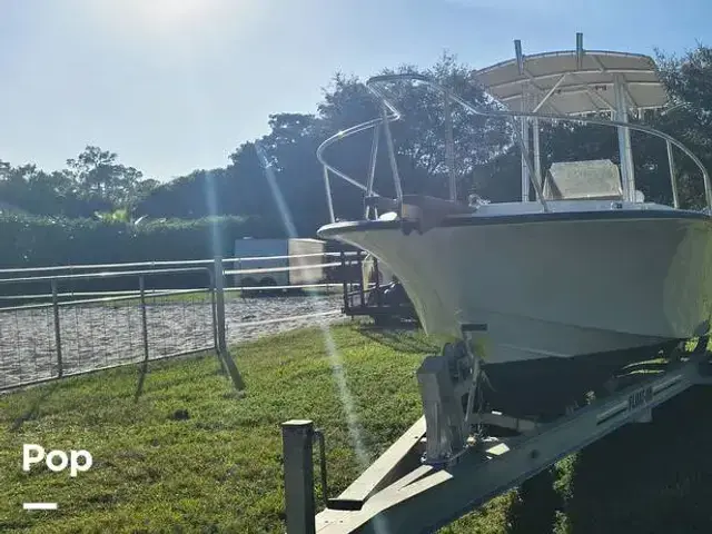 Chris Craft 213 Sea Hawk