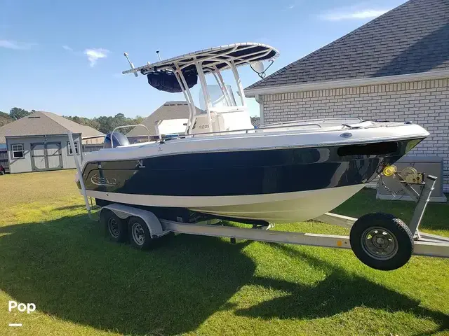 Robalo R222