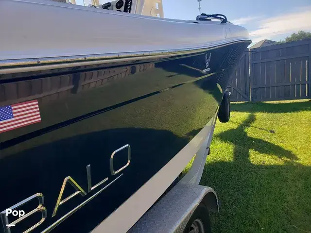 Robalo R222