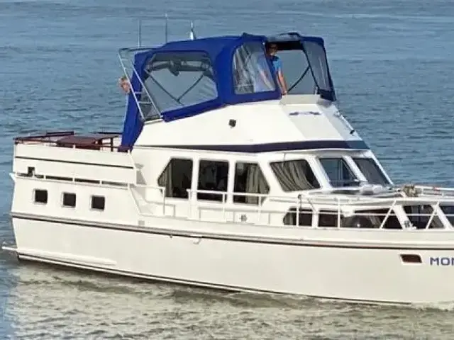 Motor Yacht Jacabo Kruiser 12.5 Flybridge