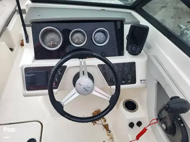 Sea Ray 210 Spx