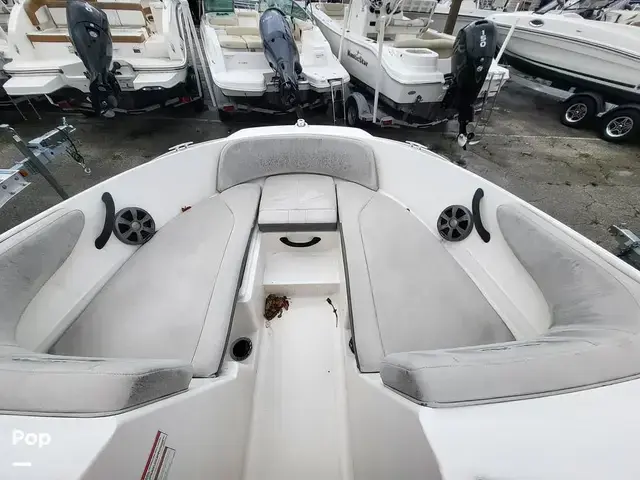 Sea Ray 210 Spx