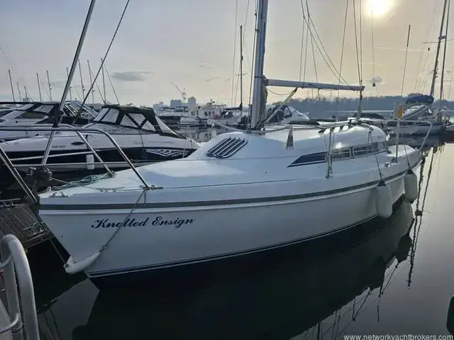 Hunter Ranger 265