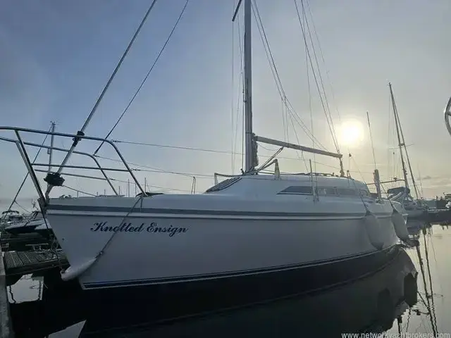 Hunter Ranger 265