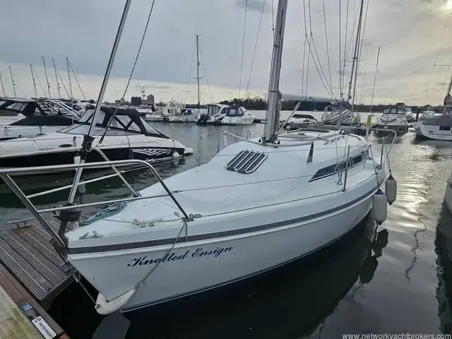 Hunter Ranger 265