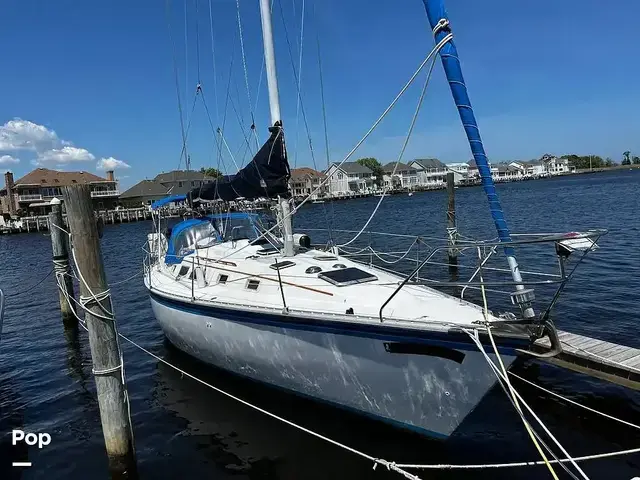 Hunter 34