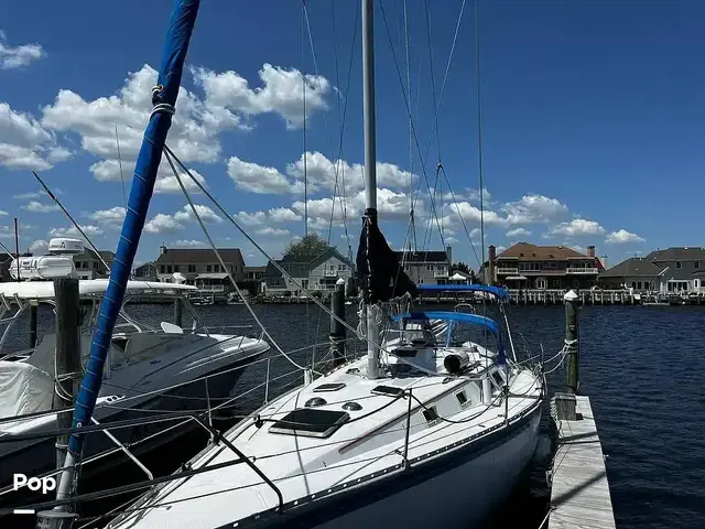 Hunter 34