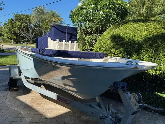 Boston Whaler 170 Montauk