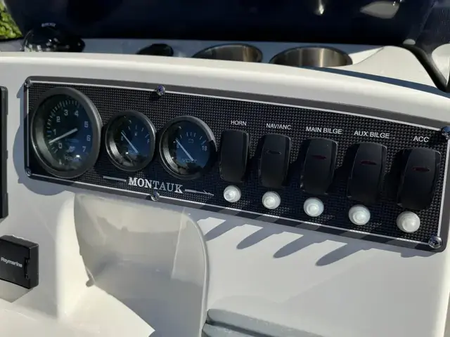 Boston Whaler 170 Montauk