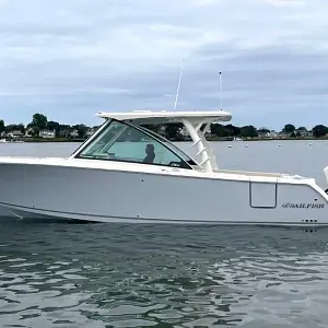 2025 Sailfish 316 Dc