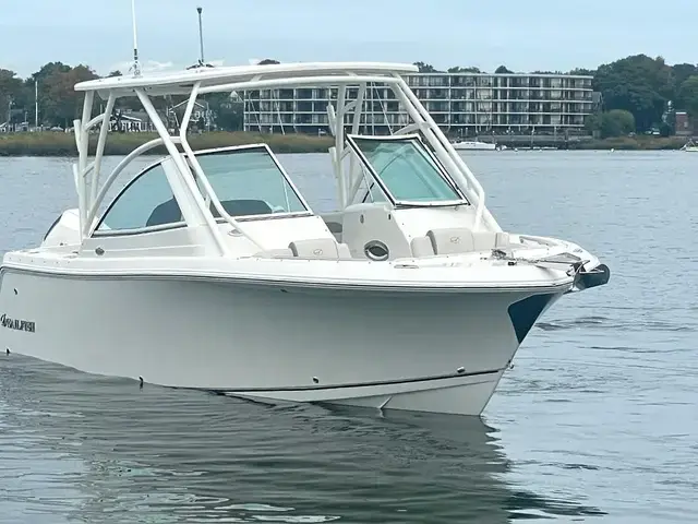 Sailfish 245 Dc