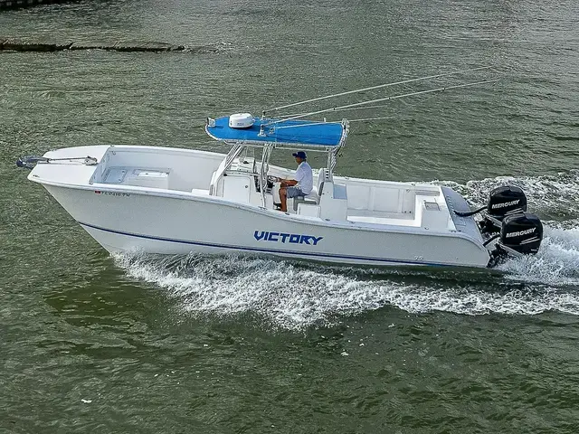 Ameracat Boats 31 CC