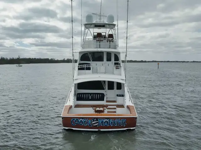 Viking Yachts Sky Bridge