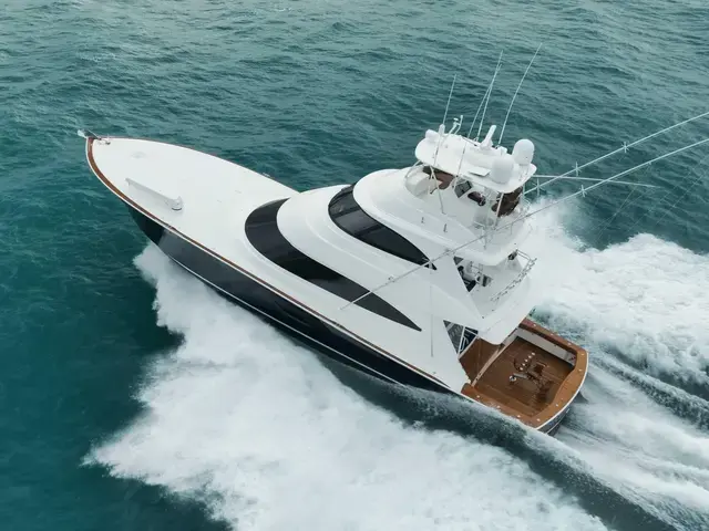 Viking Yachts Sky Bridge