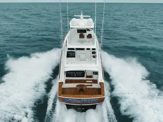 Viking Yachts Sky Bridge