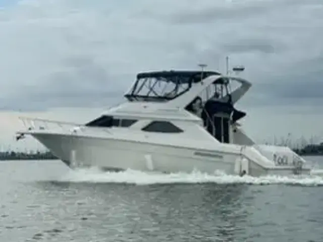 Sea Ray 440 Express Bridge