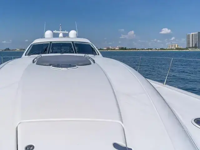 Custom Axcell 650 Catamaran