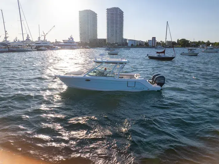 2020 Robalo 317 dual console