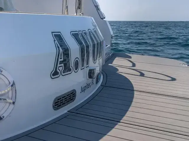 Custom Axcell 650 Catamaran