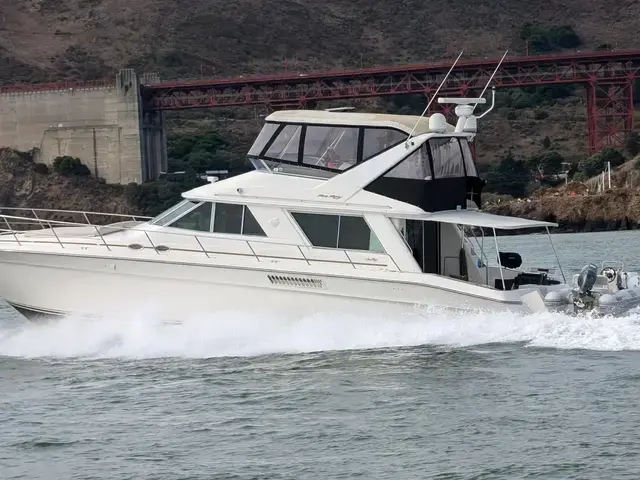 Sea Ray 550 Sedan Bridge