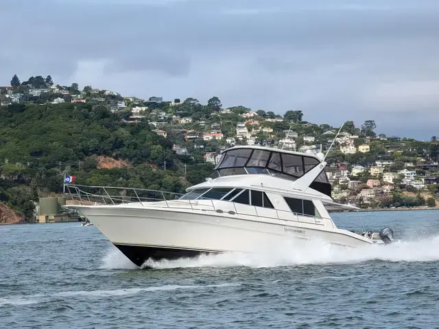 Sea Ray 550 Sedan Bridge